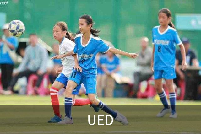UED公司简介展示图
